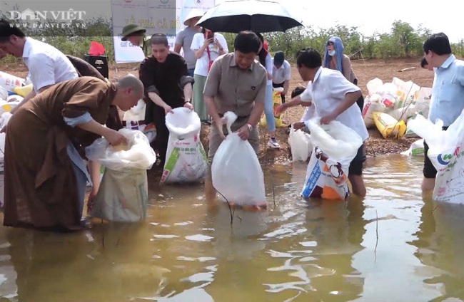 Lý do Đồng Nai phải thả gần chục tấn cá xuống hồ Trị An mỗi năm? - Ảnh 2.