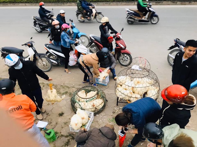 Giá gia cầm hôm nay 27/10: Giá gà thịt công nghiệp nhích lên, người nuôi chưa thoát thua lỗ - Ảnh 1.