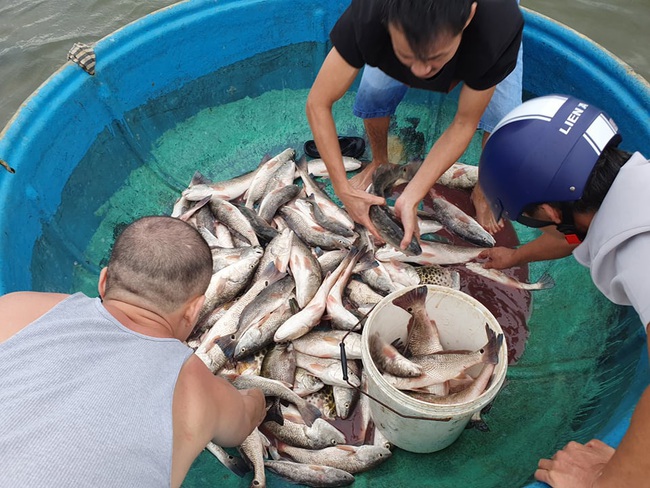 Đà Nẵng: Ngư dân chua xót &quot;chạy bão&quot; - Ảnh 1.