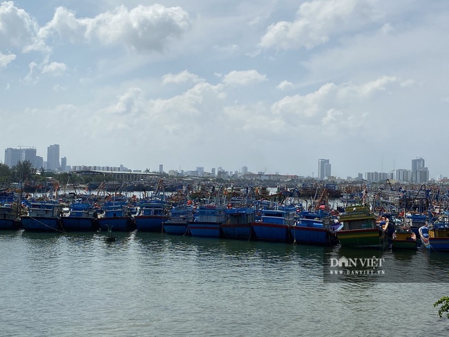 Trời nắng chang chang, ngư dân Đà Nẵng hối hả đưa tàu thuyền &quot;phi như bay&quot; trên phố - Ảnh 6.