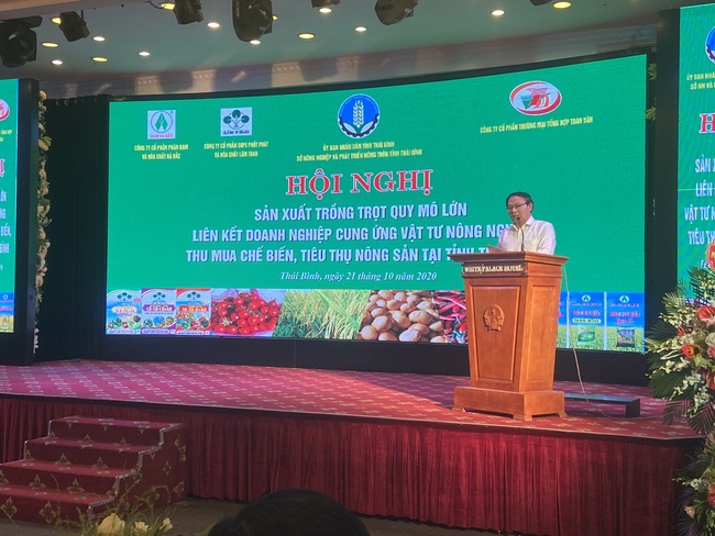 Supe Lâm Thao đồng hành cùng nông dân Thái Bình sản xuất trồng trọt quy mô lớn  - Ảnh 1.