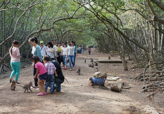 Phát triển du lịch tạo sinh kế cho người dân - Ảnh 1.