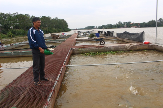 Hưng Yên: Nhiều mô hình nông dân liên kết có thu nhập tiền tỷ - Ảnh 1.