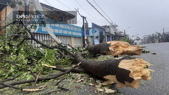 TRỰC TIẾP bão số 9: Tâm bão đang trên đất liền Quảng Nam, Quảng Ngãi - Ảnh 1.