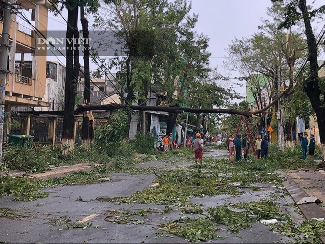 TRỰC TIẾP bão số 9 - Molave: Cây đổ ngổn ngang, nhiều mái nhà dân bị gió cuốn bay ở Quảng Ngãi - Ảnh 4.