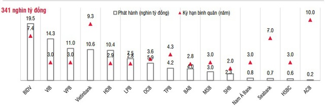 “Khát vốn”, BIDV phát hành tới 19,5 nghìn tỷ đồng trái phiếu trong 9 tháng - Ảnh 2.