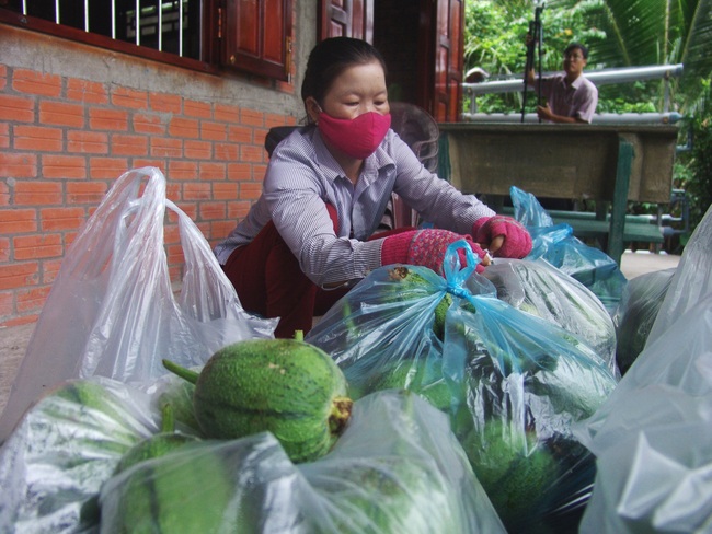 Long An bán 1ha mai vàng thu 10 tỷ đồng - Ảnh 3.