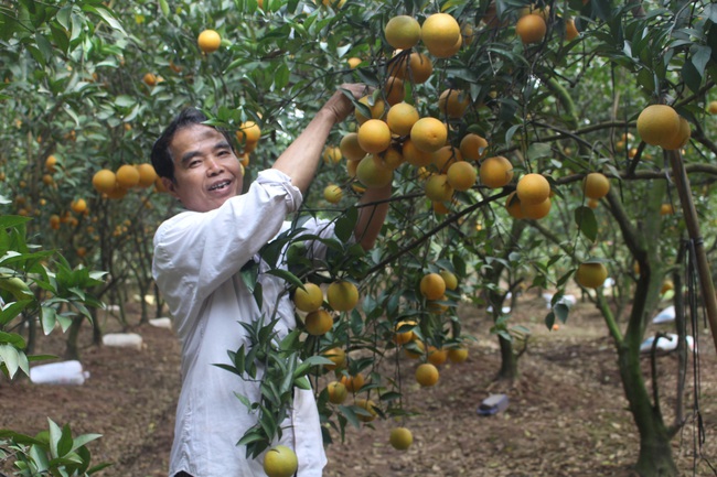 Hà Nội: Vốn Quỹ Khuyến nông đến tay, thành ngay... tỷ phú - Ảnh 4.