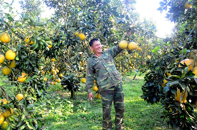 Tuyên Quang làm OCOP: Chất lượng là tiêu chí hàng đầu  - Ảnh 1.