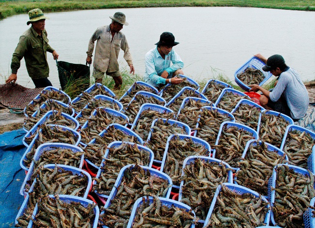 Nông sản thắng thế trong cuộc đua vào EU - Ảnh 1.