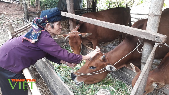 Yên Châu chung tay giữ gìn vệ sinh môi trường nông thôn - Ảnh 1.