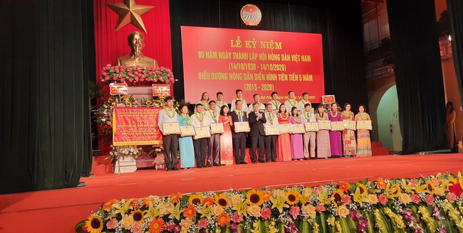 Hội Nông dân Hải Phòng: Biểu dương Nông dân điển hình tiên tiến ( 2015-2020) - Ảnh 4.