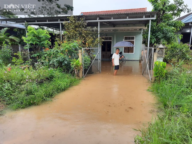 Quảng Trị: Không có lũ lụt nhưng nhiều nhà dân vẫn bị ngập nặng - Ảnh 1.