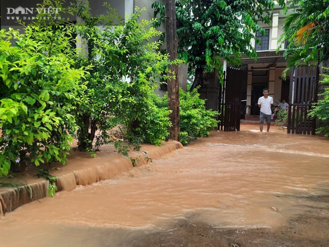 Quảng Trị: Không có lũ lụt nhưng nhiều nhà dân vẫn bị ngập nặng - Ảnh 7.