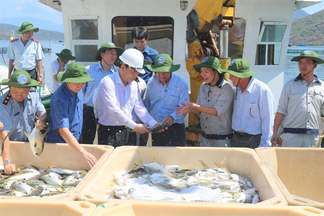 Xác định nuôi biển là nghề đa mục tiêu, đa lợi ích  - Ảnh 3.