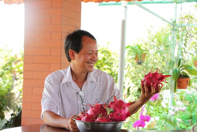 Khao khát đưa thanh long sạch đến người tiêu dùng - Ảnh 1.