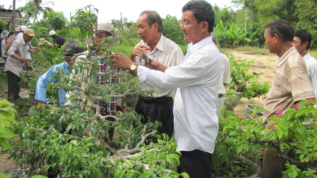 Nông dân Phú Yên nâng tầm nghề hoa kiểng - Ảnh 3.