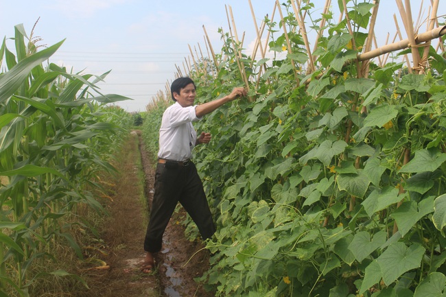 Tôn vinh 90 người “giữ lửa” phong trào nông dân ở thôn bản - Ảnh 3.