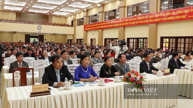 Hội Nông dân Lâm Đồng biểu dương 90 cán bộ Hội tiêu biểu giai đoạn 2015-2020 - Ảnh 1.