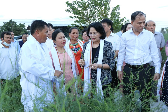 Đại hội thi đua yêu nước Hội NDVN lần V: Những “bông hoa đẹp” trong vườn hoa của Hội  - Ảnh 1.