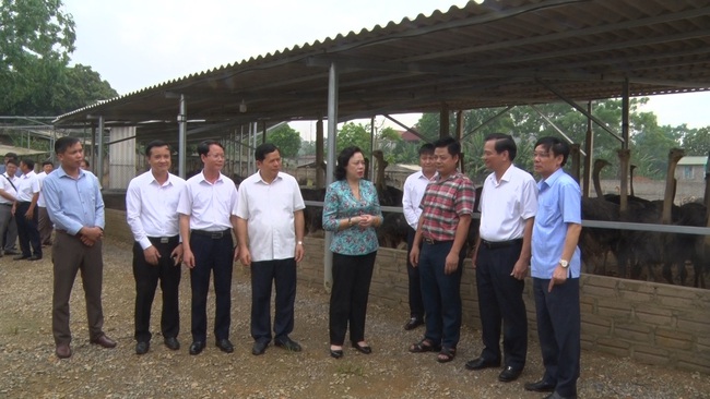 Trồng chuối, nuôi chim, làng quê Ba Vì khởi sắc  - Ảnh 1.