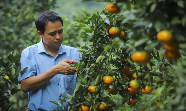 Nông nghiệp - trụ đỡ qua gian khó (bài cuối): Xây dựng nền nông nghiệp hội nhập - Ảnh 1.