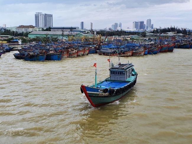 Ngư dân Đà Nẵng chạy đua ứng phó trước giờ 'cuồng phong' số 13 đổ bộ - Ảnh 7.