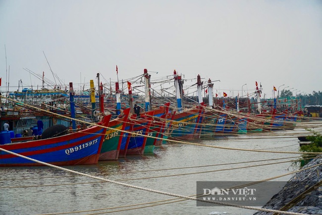 Ngư dân Quảng Bình chằng chống nhà, neo tàu “chạy đua” với bão số 13 - Ảnh 1.