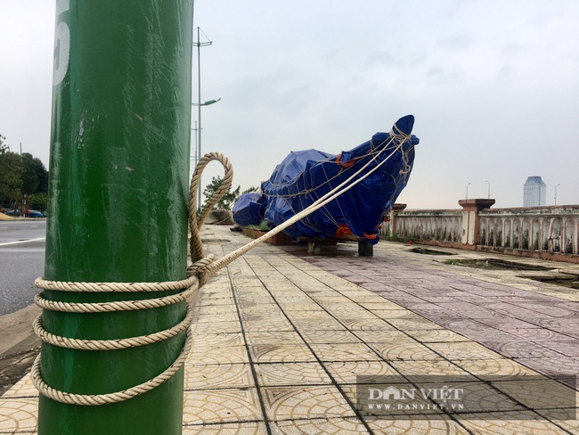 Ngư dân Quảng Bình chằng chống nhà, neo tàu “chạy đua” với bão số 13 - Ảnh 3.