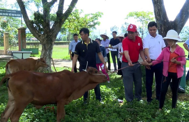 Triển khai chương trình giảm nghèo: Hộ nghèo và cận nghèo phải &quot;dắt tay nhau&quot; cùng làm ăn - Ảnh 3.