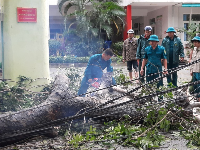 TT-Huế: Bão số 13 quật gục “cụ” cây xà cừ 13 cùng loạt cây xanh, nhiều nhà dân hư hại  - Ảnh 13.