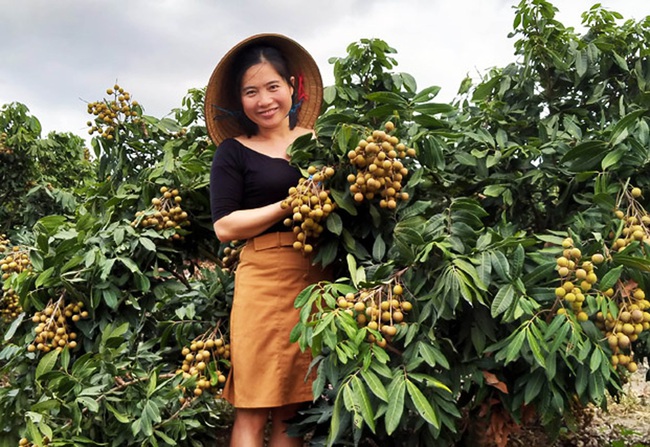 Xây dựng nông thôn mới ở Đăk Lăk ngày càng đi vào chiều sâu:“Quả ngọt” tái cơ cấu nông nghiệp  - Ảnh 1.