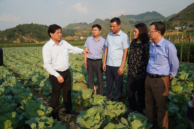 Việt Nam đứng đầu ASEAN về thuốc bảo vệ thực vật sinh học - Ảnh 6.