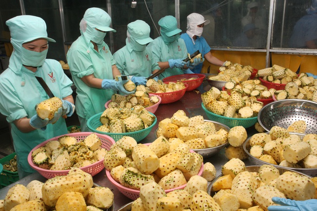 Rau quả Việt Nam chủ yếu bán tươi, giá rẻ, thị trường có giá bán cao vẫn rất nhỏ - Ảnh 5.