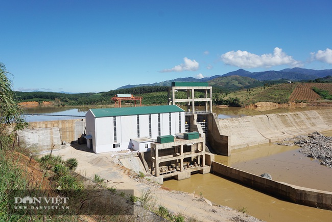 Thủy điện tích nước vô lối ở tỉnh Kon Tum: Nông dân chảy nước mắt nhìn nông sản hư thối - Ảnh 2.