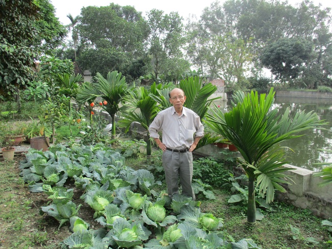 Hai lần tôi làm thầy giáo - Ảnh 3.