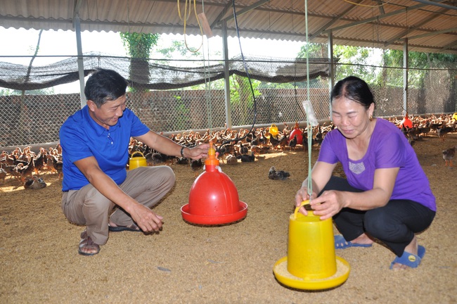 Chuyên gia “mách nước” giúp nuôi gia cầm thành công - Ảnh 1.