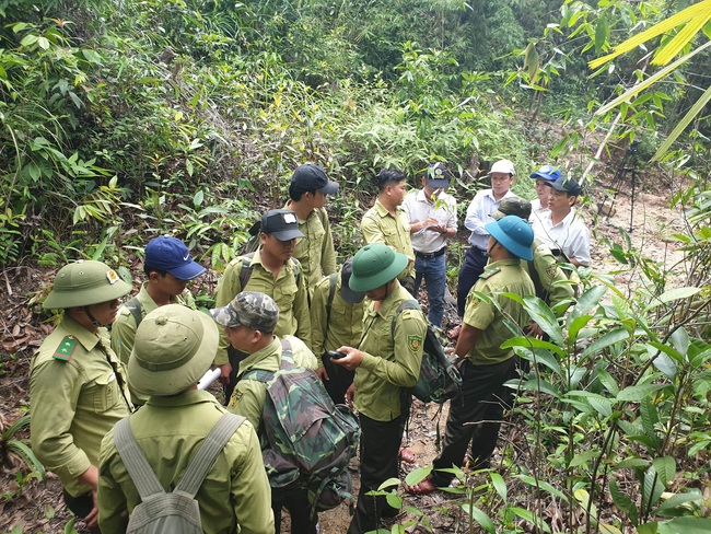 Quỹ Bảo vệ và phát triển rừng Quảng Nam: Vượt khó khăn để hoàn thành nhiệm vụ - Ảnh 2.
