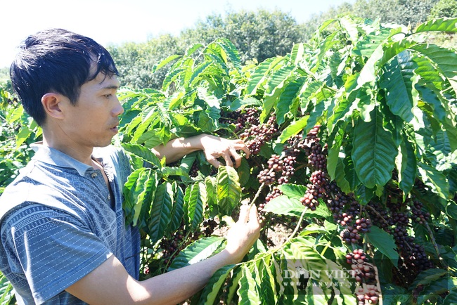 Thủy điện tích nước vô lối ở Kon Tum: Nhiều lần tích nước trái phép... xử phạt 25 triệu đồng - Ảnh 3.