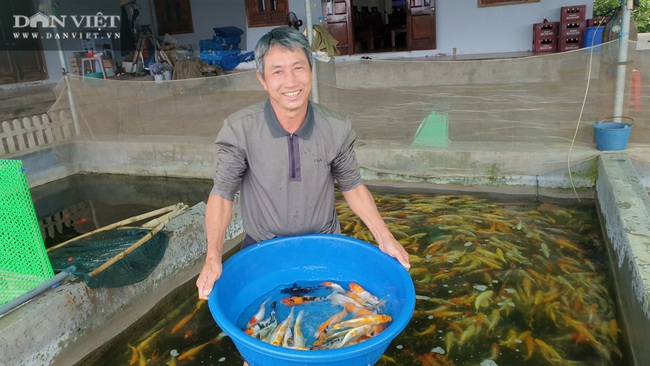 Nam Định: Nuôi cá truyền thống mãi không khá, chuyển nuôi cá nghìn đô lão nông trở lên giàu có - Ảnh 8.