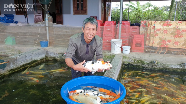 Nam Định: Nuôi cá truyền thống mãi không khá, chuyển nuôi cá nghìn đô lão nông trở lên giàu có - Ảnh 2.