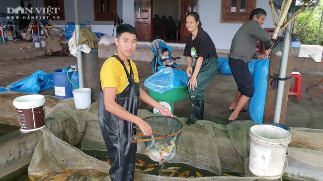 Nam Định: Nuôi cá truyền thống mãi không khá, chuyển nuôi cá nghìn đô lão nông trở lên giàu có - Ảnh 7.