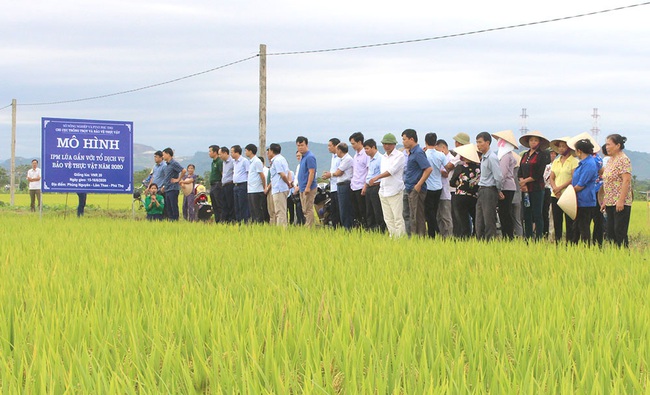 Trên 2 triệu ha áp dụng IPM, Bộ NNPTNT ban hành chỉ thị mở rộng triển khai trên các cây trồng chủ lực - Ảnh 2.