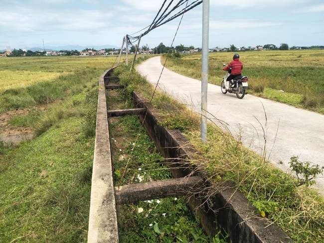 Tình trạng ruộng đất bỏ hoang ở TP.Móng Cái: Lãng phí đất đai, người dân bất an... - Ảnh 2.