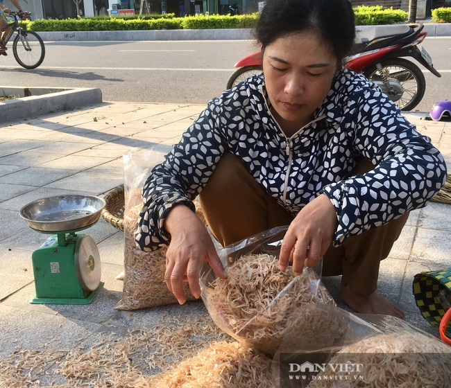 Thanh Hóa: Ngư dân bỏ túi tiền triệu mỗi ngày từ “săn” ruốc biển - Ảnh 10.