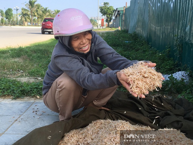 Thanh Hóa: Ngư dân bỏ túi tiền triệu mỗi ngày từ “săn” ruốc biển - Ảnh 9.