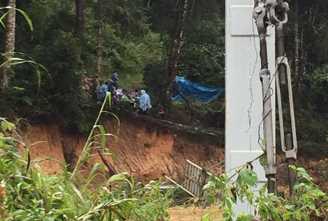 Lâm Đồng: 2 du khách bị nước cuốn, trèo lên cây được giải cứu - Ảnh 1.