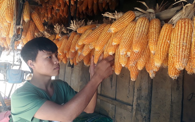 Xóa bản trắng Đảng viên ở vùng cao Tây Bắc - Bài 3: Ánh sáng của Đảng nơi bản làng xa ngái - Ảnh 4.