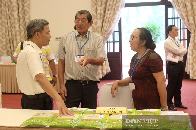 Cận cảnh chuyên gia đi tìm loại gạo ngon nhất Việt Nam 2020 - Ảnh 11.