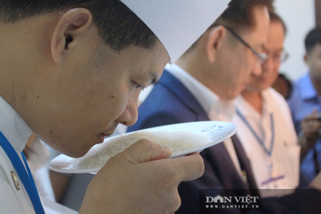 Cận cảnh chuyên gia đi tìm loại gạo ngon nhất Việt Nam 2020 - Ảnh 5.